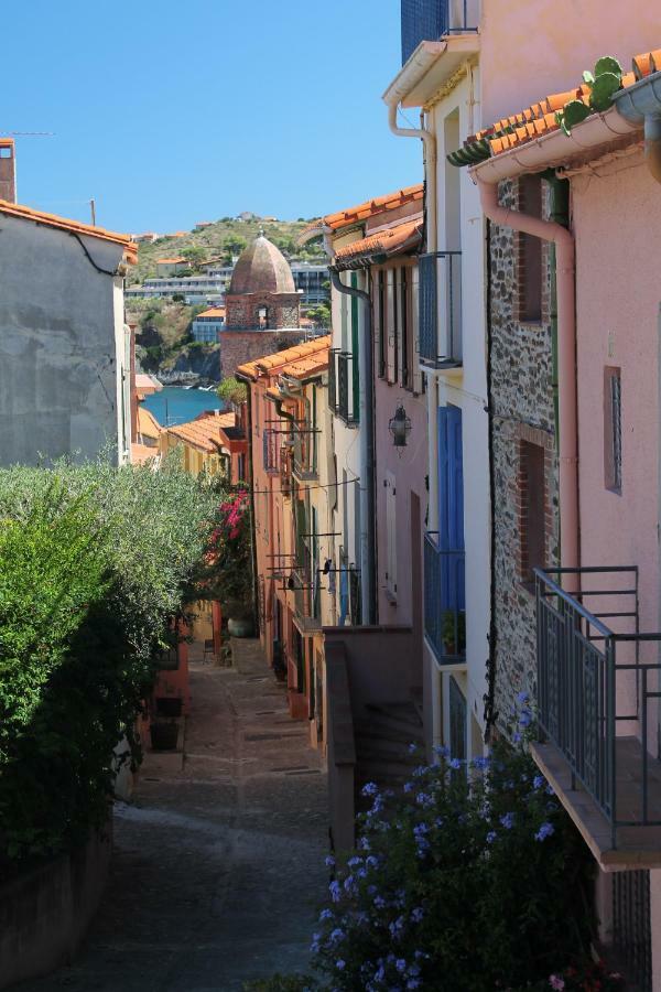 Maison Au Pied De La Cathedrale Elne Buitenkant foto